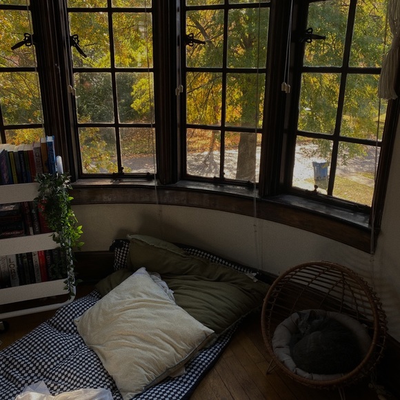 Meet Lilly ☺️🤙👌 - Picture 4 of 5